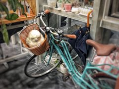 -鈊藝銀匠·银饰DIY工作室(永庆坊店)