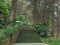 -铁山坪森林公园