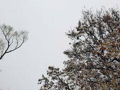 -终南山南五台景区