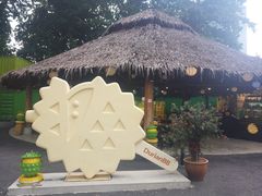 -都念榴莲·城市榴莲