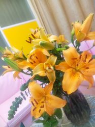 -摩瘦纤体订制减肥