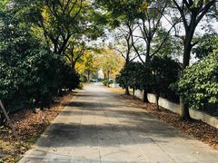 -东南大学(九龙湖校区)