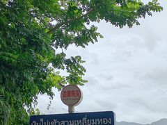 -西双版纳傣族园