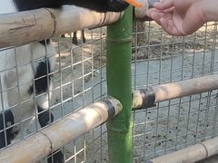 -青青世界