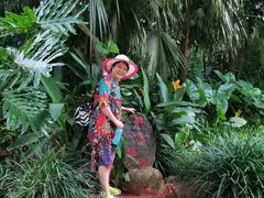-海南热带野生动植物园