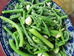 南瓜苗-生态苑农庄(十里画廊遇龙河店)