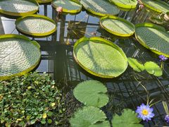 -国家植物园南园