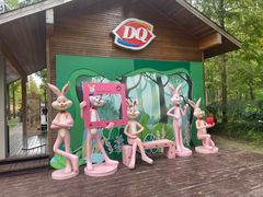 -黄海国家森林公园