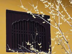 -西园戒幢律寺