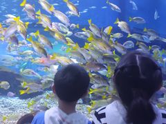 -海合安武汉极地海洋公园