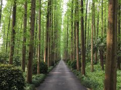 -上海怡沁园度假酒店