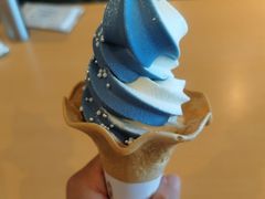-大阪海游馆