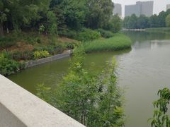 -大兴滨河森林公园