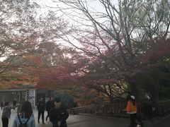 -苏堤停车场