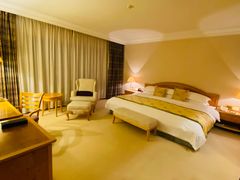 -南京维景国际大酒店(南京博物院店)