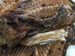 -金鹏鱼肉馆