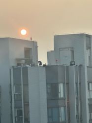 -喜宝悉贝月子会所(锦江店)
