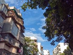-仙岳公园