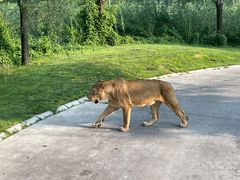 -北京野生动物园