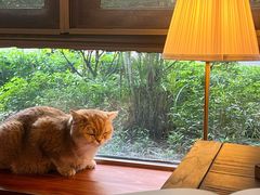 -咖法森林·咖啡  酒吧(天河店)