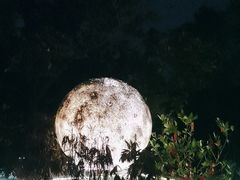-恬阿姨庭院餐厅·生日宴