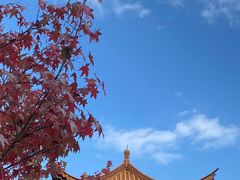 -崇圣寺三塔文化旅游区