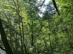 -青峰峡国家森林公园