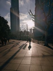 -上海明天广场JW万豪酒店·宴会厅