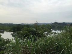-婺源月亮湾