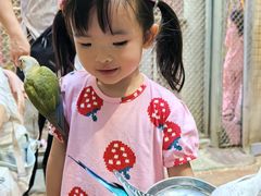 -正佳雨林生态植物园