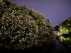 -天鹅湖体育公园
