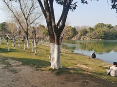 -艾溪湖湿地公园