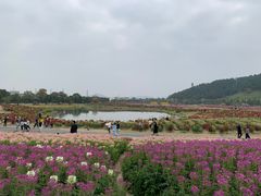 -径山花海