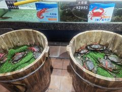 -滋粥楼·顺德菜(番禺广场总店)