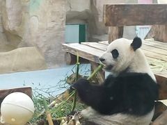 -无锡动物园·太湖欢乐园