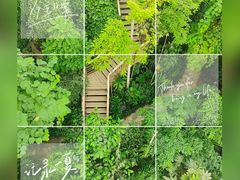 -郑州植物园