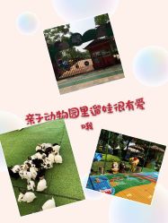 -萌宠亲子动物乐园(槐房万达店)