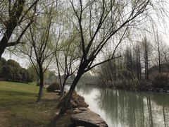 -九里河湿地公园