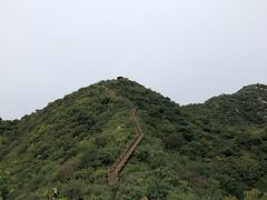 -大岭沟猕猴桃谷风景区
