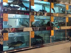水产区-蜀滋香鲜鱼美蛙火锅(339店)