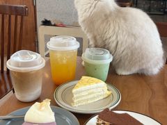 -有猫主题·治愈系猫咖(曾厝垵店)