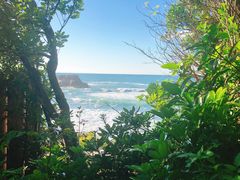 -南紀白浜 浜千鳥の湯 海舟