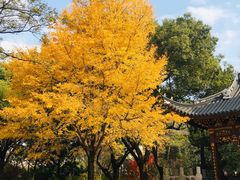 -汇龙潭