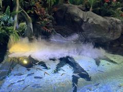 -上海海洋水族馆