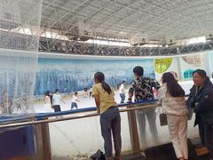 -世界之窗阿尔卑斯冰雪世界