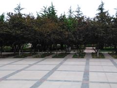 -石家庄市植物园