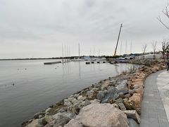 -南汇嘴观海公园