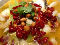 -Aqua Oasis 水天堂(余姚众安广场店)