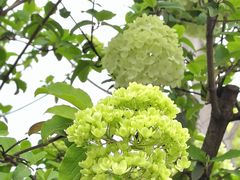 -大龙山(地铁站)