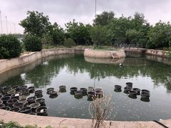 -大自然农场蔬菜草莓采摘园